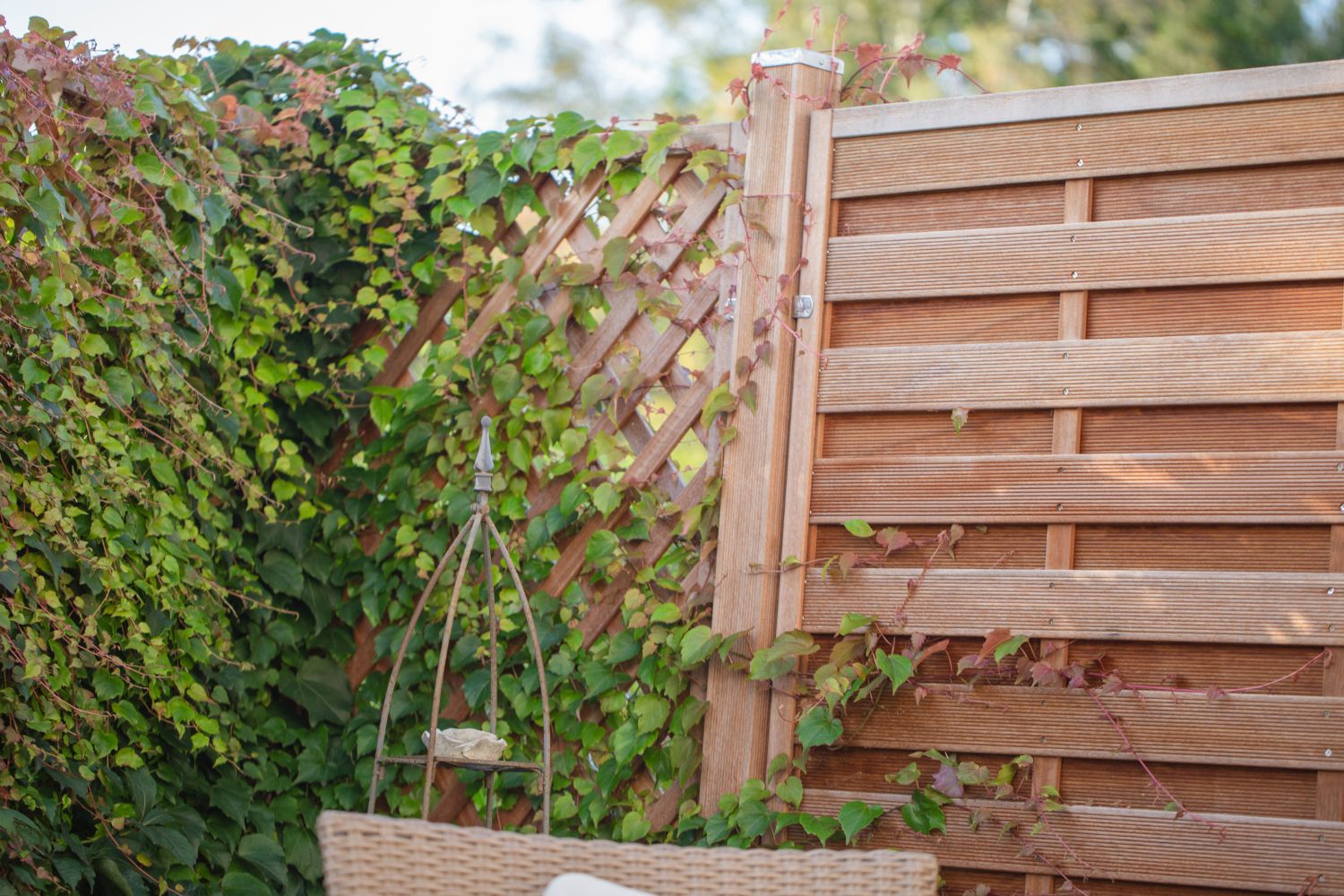 Rankzaun aus Bangkirai im Garten