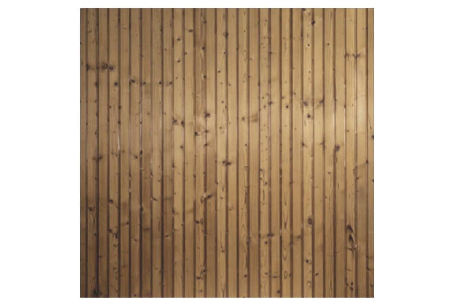 VivaView Nordstrand senkrecht TMT Kiefer